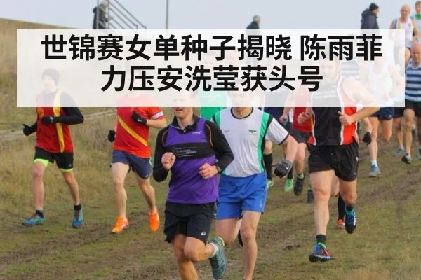 世锦赛女单种子揭晓 陈雨菲力压安洗莹获头号